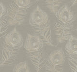 Candice Olson Mink Regal Peacock Grey Wallpaper