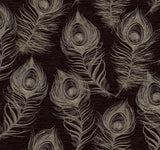 Candice Olson Black Regal Peacock Black Wallpaper