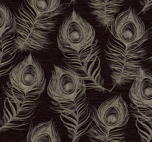Candice Olson Black Regal Peacock Black Wallpaper
