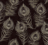 Candice Olson Black Regal Peacock Black Wallpaper