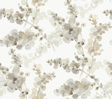Candice Olson Blonde Blossom Fling Brown Wallpaper