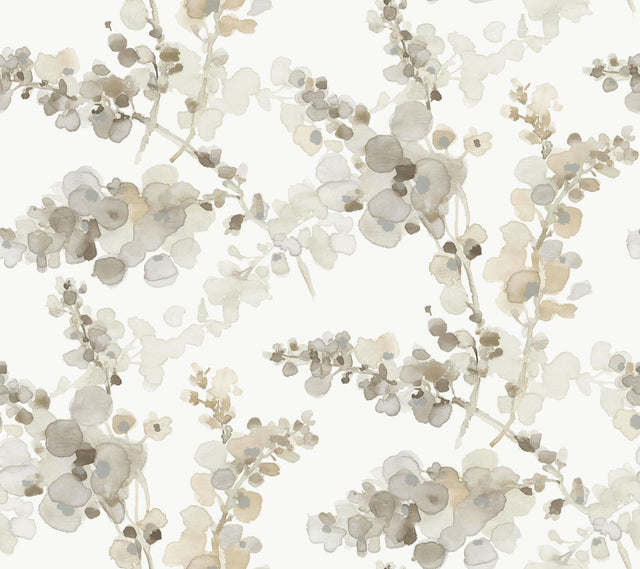 Candice Olson Blonde Blossom Fling Brown Wallpaper