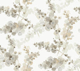 Candice Olson Blonde Blossom Fling Brown Wallpaper