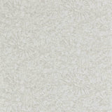 Harlequin Ammonite Pumice Wallpaper