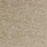 Harlequin Ammonite Sandstone Wallpaper