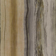Harlequin Vitruvius Gold / Basalt Wallpaper