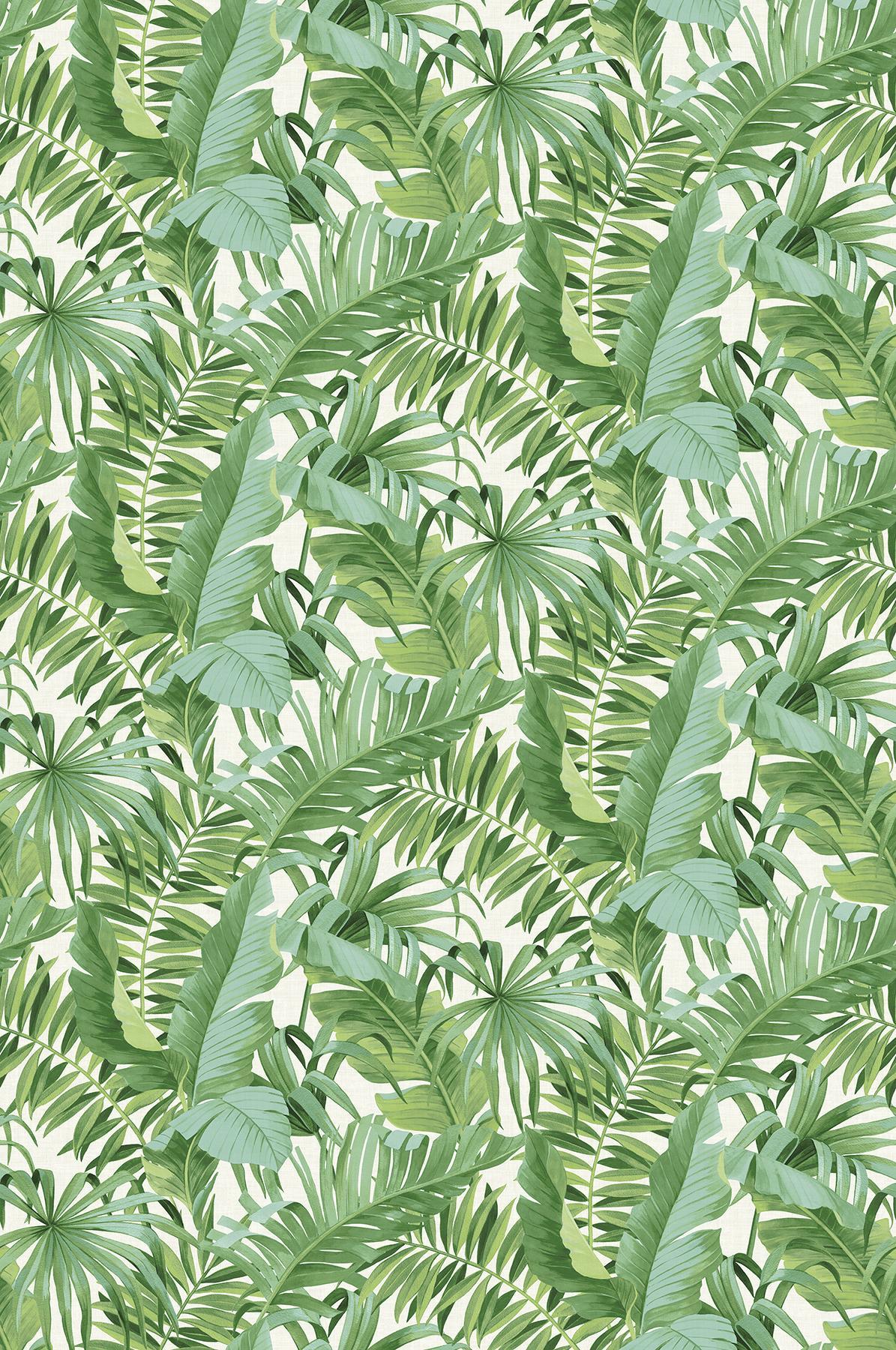 Brewster Home Fashions Tropical Palm Leaf Green Wall Mural
