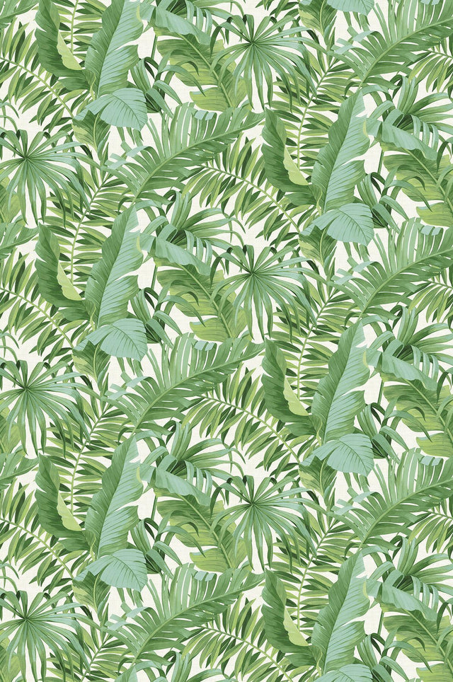 Brewster Home Fashions Tropical Palm Leaf Green Wall Mural