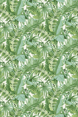 Brewster Home Fashions Tropical Palm Leaf Green Wall Mural
