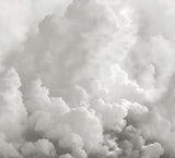 Brewster Home Fashions In the Clouds Dove Grey Wall Mural