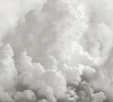 Brewster Home Fashions In the Clouds Dove Grey Wall Mural