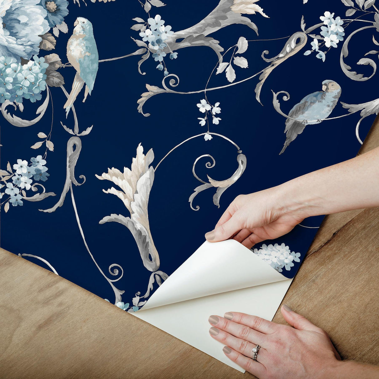 York Black Multi Parrots With Floral Bouquets Peel & Stick Black Wallpaper