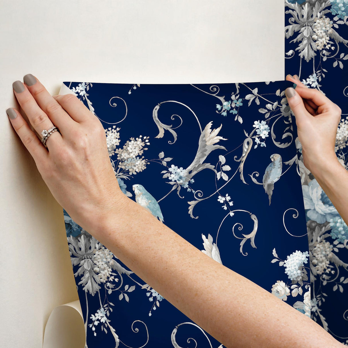 York Black Multi Parrots With Floral Bouquets Peel & Stick Black Wallpaper