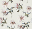 York Neutral Large Parrot Tulip Peel & Stick Beige Wallpaper