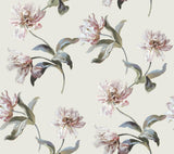 York Neutral Large Parrot Tulip Peel & Stick Beige Wallpaper
