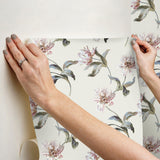 York Neutral Large Parrot Tulip Peel & Stick Beige Wallpaper