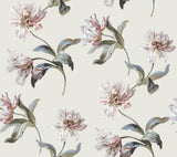 York Neutral Large Parrot Tulip Peel & Stick Beige Wallpaper