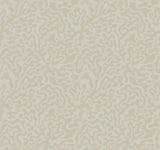 York Grey & Gold Nebulous Cloud Brown Wallpaper