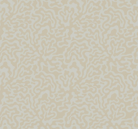 York Grey & Gold Nebulous Cloud Brown Wallpaper