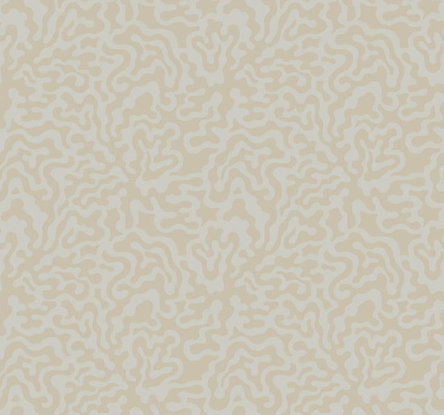 York Grey & Gold Nebulous Cloud Brown Wallpaper