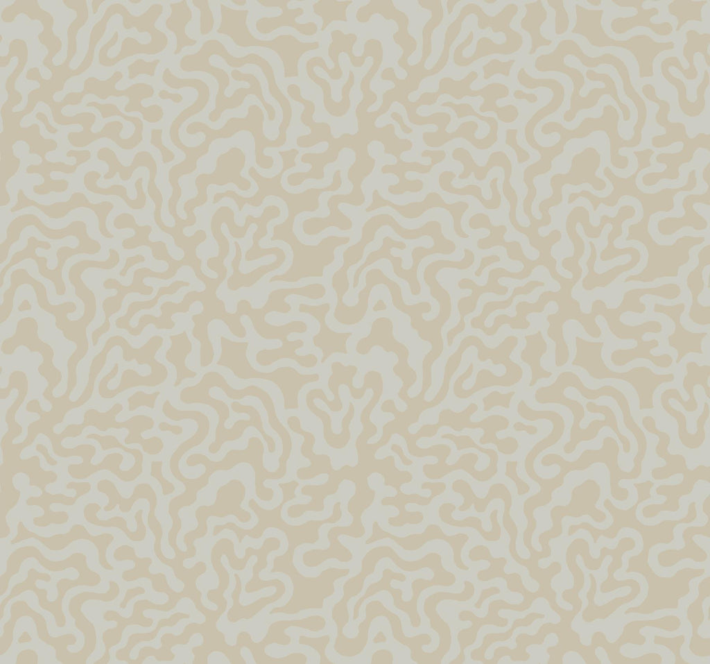 York Grey & Gold Nebulous Cloud Brown Wallpaper