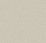 York Grey & Gold Nebulous Cloud Brown Wallpaper