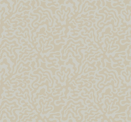 York Grey & Gold Nebulous Cloud Brown Wallpaper