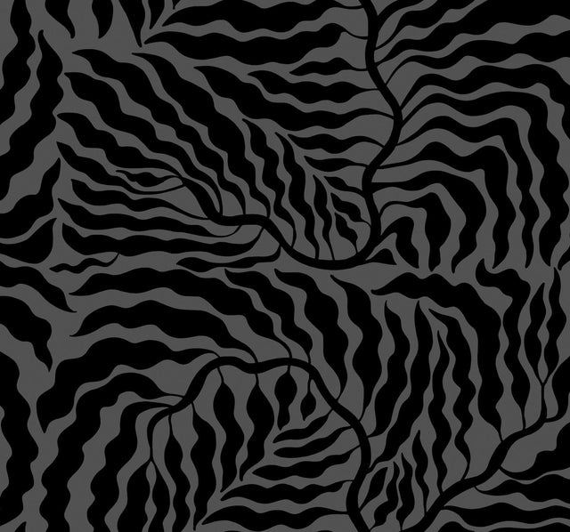 York Black Fern Fronds Black Wallpaper