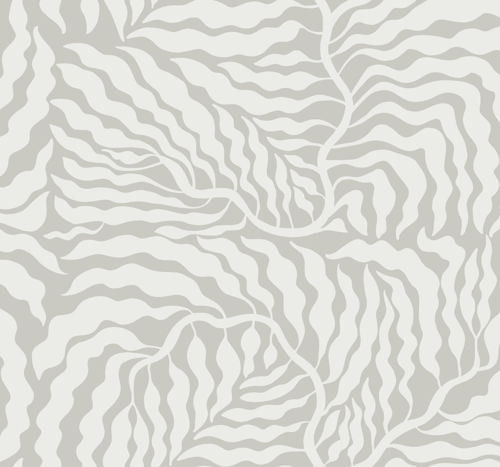 York Grey & White Fern Fronds Grey Wallpaper