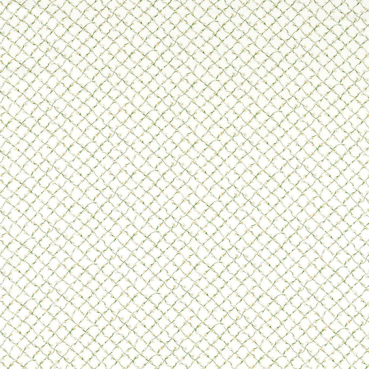 Harlequin Daisy Trellis Emerald/Pearl Fabric