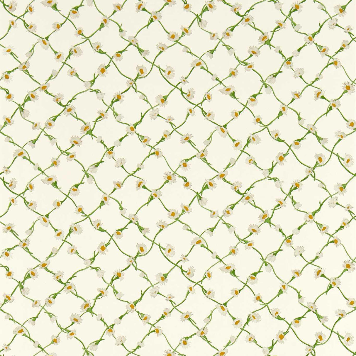 Harlequin Daisy Trellis Emerald/Pearl Wallpaper