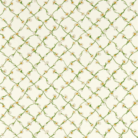 Harlequin Daisy Trellis Emerald/Pearl Wallpaper