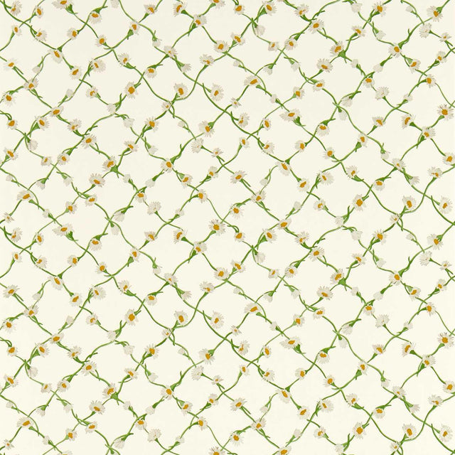 Harlequin Daisy Trellis Emerald/Pearl Wallpaper