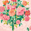 Harlequin Dahlia Bunch Rose Quartz/Spinel Wallpaper