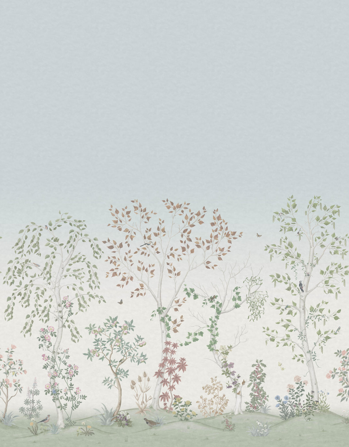Cole & Son SEASONAL WOODS CLEAR SKIES Wallpaper