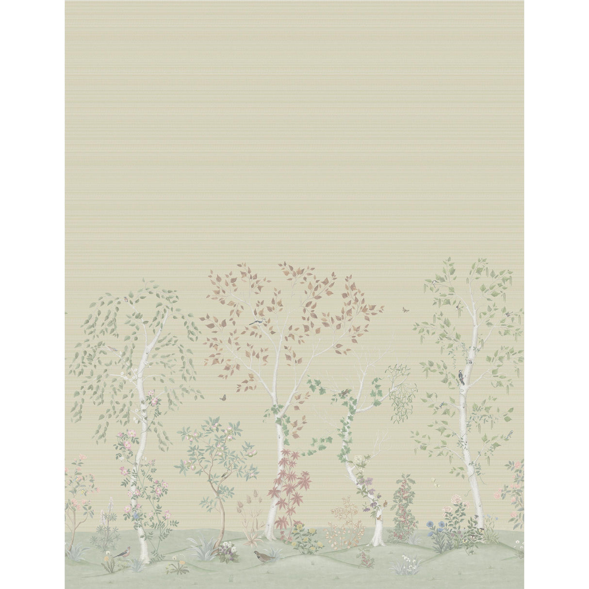 Cole & Son SEASONAL WOODS GRASSCLOTH OAT NATURAL Wallpaper