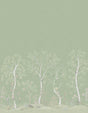 Cole & Son SEASONAL WOODS OLIVE Wallpaper