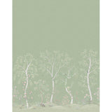 Cole & Son SEASONAL WOODS OLIVE Wallpaper