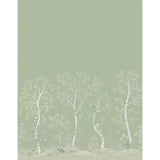 Cole & Son SEASONAL WOODS OLIVE SILK Wallpaper