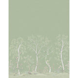 Cole & Son SEASONAL WOODS SILK OLIVE SILK Wallpaper