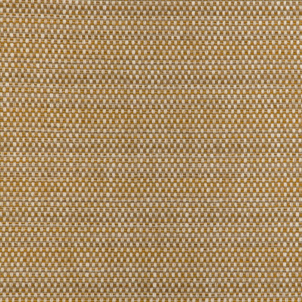 Kravet KRAVET SMART 36994-4 Fabric