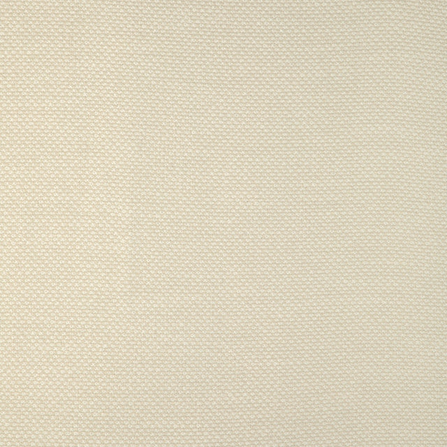 Kravet SMART 36999 1 Upholstery Fabric