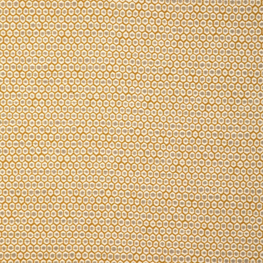 Kravet KRAVET SMART 37004-411 Fabric