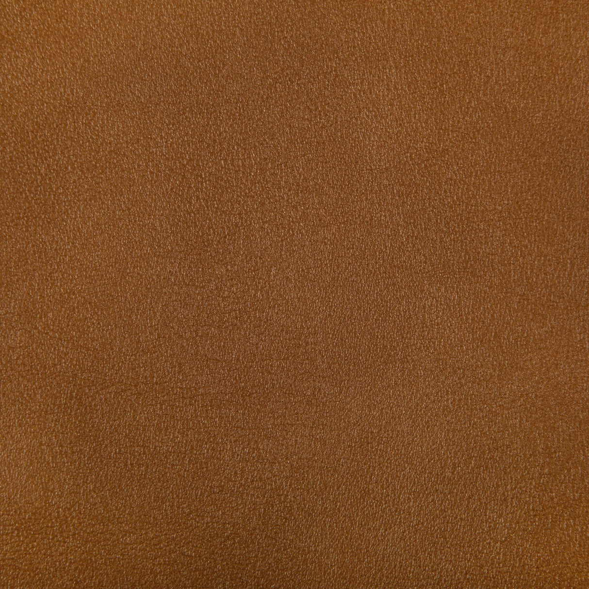 Kravet AGATHA SQUASH Upholstery Fabric