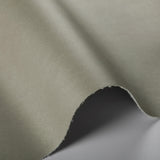 Kravet AGATHA MICA Upholstery Fabric