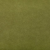 Kravet AGATHA CACTUS Upholstery Fabric