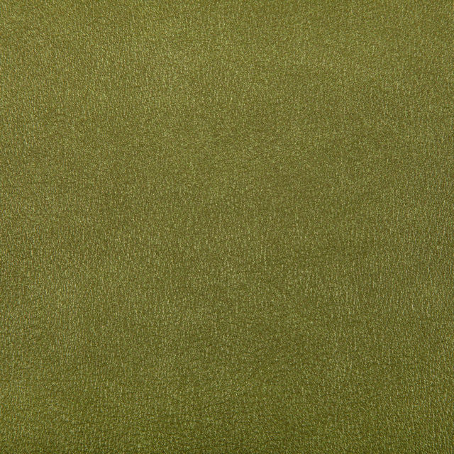 Kravet AGATHA CACTUS Upholstery Fabric