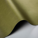 Kravet AGATHA CACTUS Upholstery Fabric