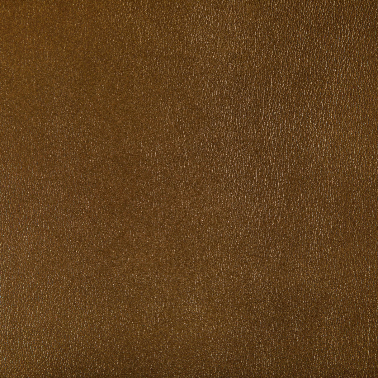 Kravet AGATHA INCA Upholstery Fabric