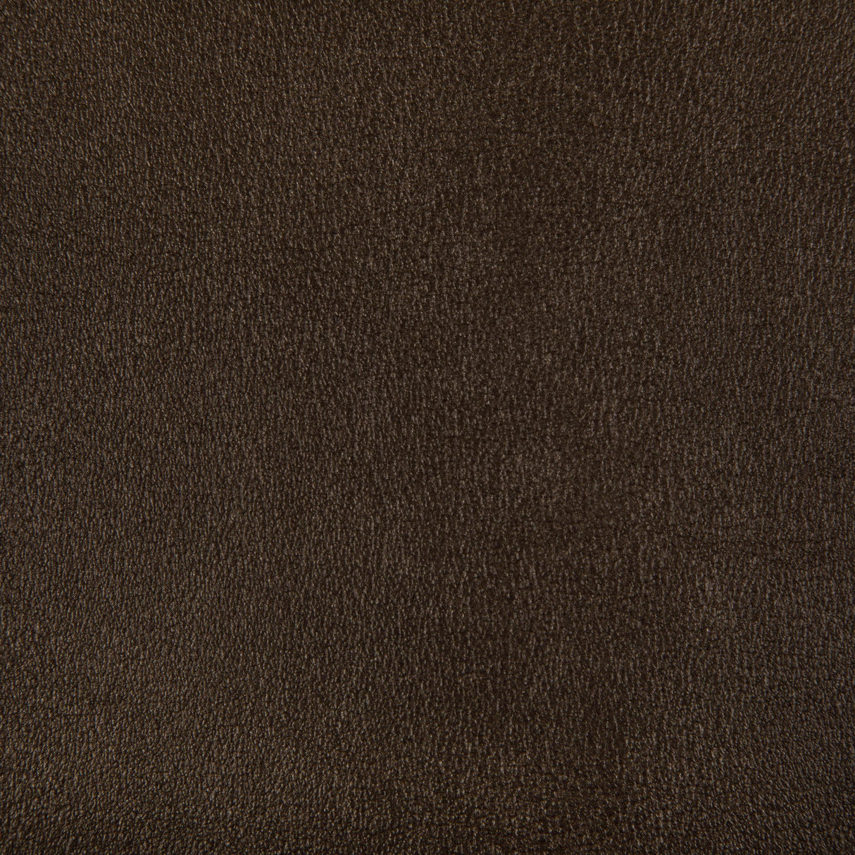 Kravet AGATHA BRONZE Upholstery Fabric